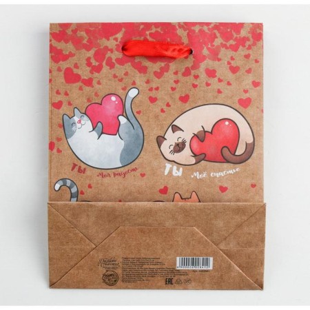 Package Gift Craft Vertical, packaging, “You are my happiness!”, MS 18 x 23 x 10 cm-3
