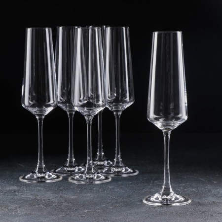Set of glasses for champagne Corvus, 160 ml, 6 pcs