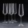 Set of glasses for champagne Corvus, 160 ml, 6 pcs