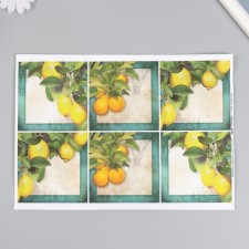 Decoupage map 