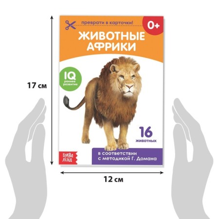 Books "Doman's cards on the paper clip", set, 8 pcs. 20 p.-2