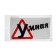 Car sticker, "smart", 18 × 10 cm