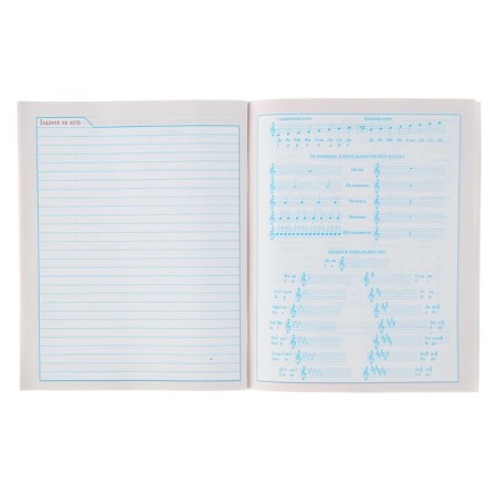 Diary for a music school, 48 sheets, "violin", cover of coated cardboard, with reference material, color block-2