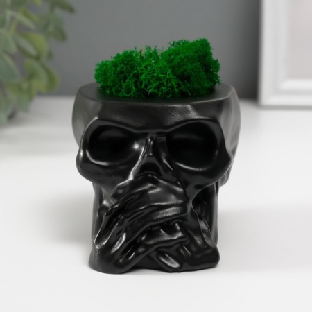 Kashpo concrete "Skull Silence" with moss 6.5x10 cm black (moss green stabilized)