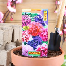 Gloriosis Petunia F1 is large -flowered terry, a mixture of colors 10 pcs.