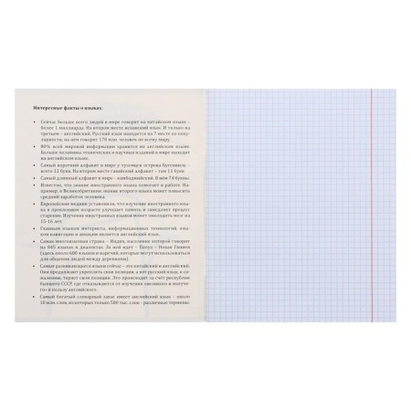 A notebook 48 sheets in a cage school memes "Foreign language", cover coated cardboard, embossing canvas, block offset-1