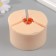 Silicone Mold "Pion Madagascar" d = 6 cm, height 4.5 cm mix