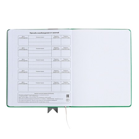 Universal diary for grades 1-11 Lenta, solid cover of artificial leather, applique, silkography, liesse, 48 sheets, green-14