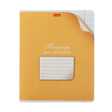 Notebook 12 sheets into a frequent scythe ruler "with a corner", covered cartoon cover, offset unit, mix-3