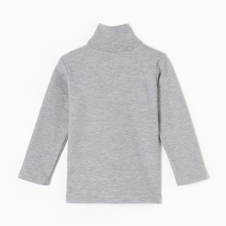 Turtleneck for boys, color gray melange, height 98 cm-3