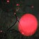 Garland "thread" 10 m, IP44, UMS, dark thread, 100 LED, red glow, 220 V