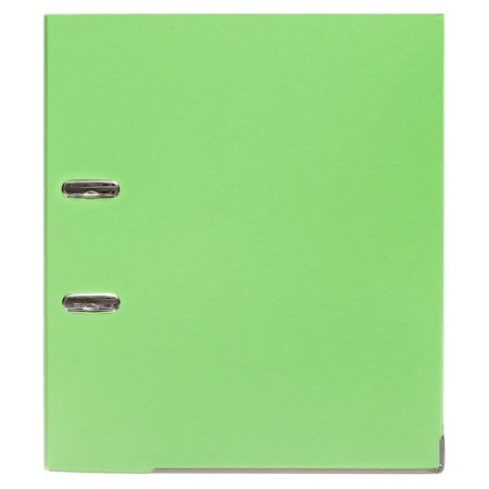 A4, 50 mm, calligrata registrar folder, PVC, embossing "flax", metal edging, pocket for a spine, assembled, pistachio, mix-2