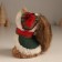 Decor "Raccoon in the winter clothes" 8x13x14 cm