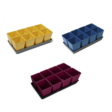 Set for seedlings: glasses of 600 ml (8 pcs), pan 36 × 18 cm, color mix, Greengo-14