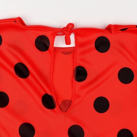 Carnival set of ladybug, height 110-122 cm-2