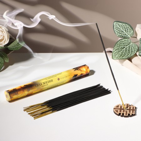 Incense "power of life", 20 sticks in packaging, hexagon
