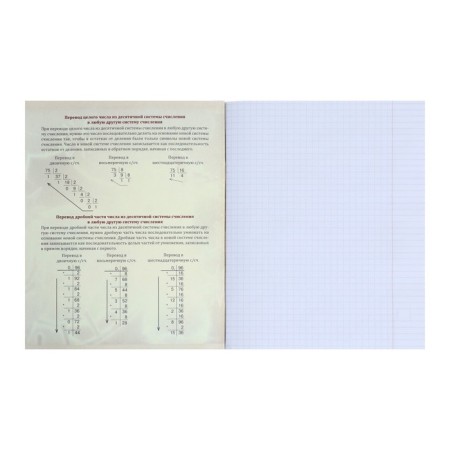 Subject Calligrata "Bright marble", 48 sheets in the cage computer science, with reference material, cover coated cardboard, Uf-lak, Offset unit-1