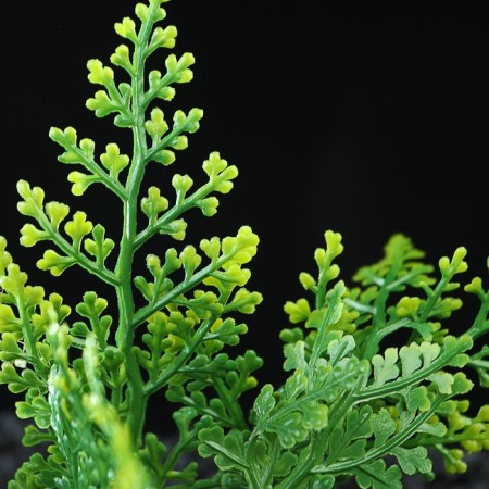 The plant is artificial aquarium, up to 13 cm-1