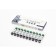 Cordyceps, Elsam, 10 vials