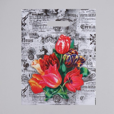 Bristol package, plastic with a cut pen, 30 x 40 cm, 35 μm