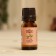 Essential oil "Sandal", a bottle-boiler, abstract, 10 ml, "Dobroparov"