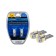 LED LED XENITE CAN507 12V, T10/W5W Canbus, brightness +50%, 2 pcs