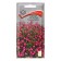 Flowers of lobelia flowers, whip "ruby fountain", 0.1 g.
