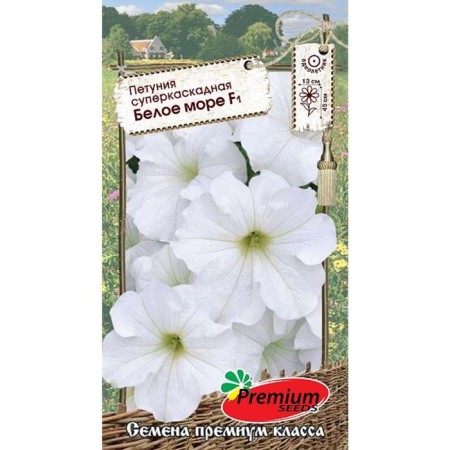 Flowers of Petunia Super Cascade White Sea F1, o, 10pcs-2