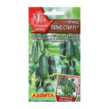 Cucumber seeds 