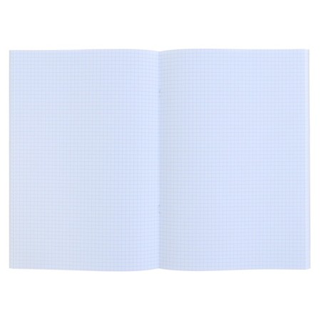 A4 notebook, 48 sheets, in a cage, "silver. Metallic", Bumville-1