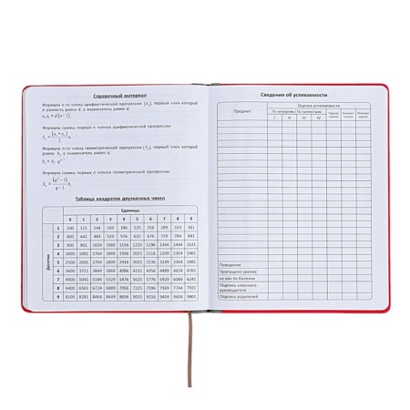 Universal diary for grades 1-11 Excellence, solid cover of artificial leather, silkography, lies, 48 ​​sheets, pink-13