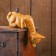 Souvenir tree "Kitten Ginger is peeping" 19x11x5 cm