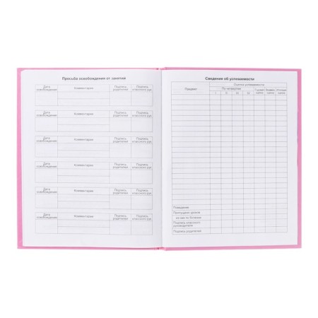 Diary 5-11 class Cat, 48 sheets, solid cover, glossy lamination, foil embossing, offset block-13