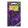 Viola seeds "Sorbet XP Parl", F1, 4 pcs.