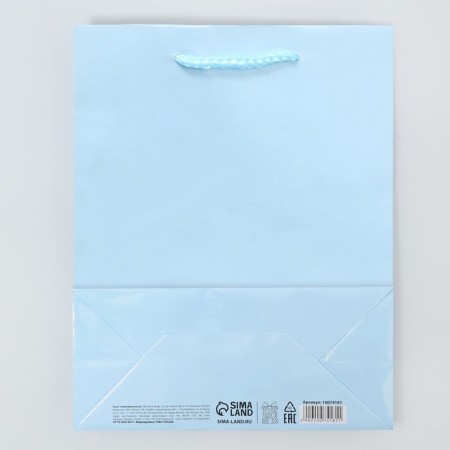 Gift Package Laminated, Packaging, Blue, MS 18 x 23 x 8 cm-4