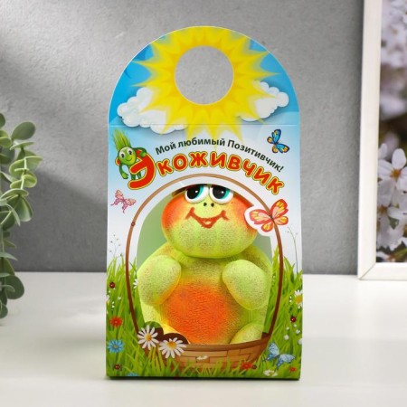 Growing gift Eco -Zhizhivchik "Turtle" mix-9