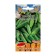 Seeds of cucumber Ermola F1, parthenocarpic, 10 pcs.