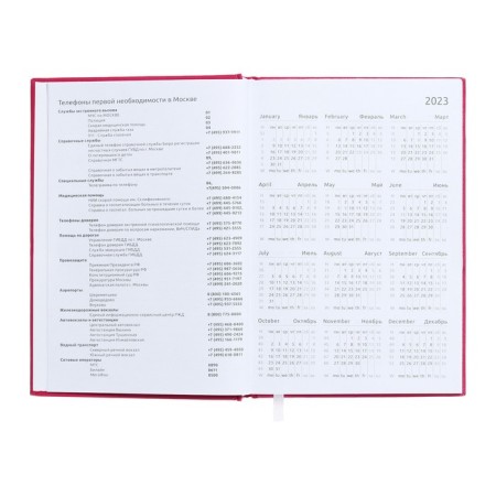 Dated diary 2024, A5, 176 sheets, Attomex.even, Bumvinyl cover, Lasse, Blok 70 g/m2, pink-4