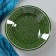 The plate of the Rishtan ceramics "Patterns", green, deep, 20 cm