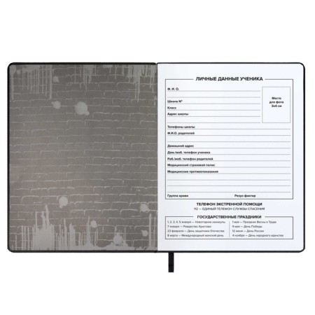 School diary for grade 1-11, Urban, soft cover of artificial leather, neon printing, 48 sheets, an offset block 80g/m2, universal cheat sheet-3