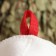 Fifth generation Tsarevna Hat