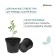 Pot for seedlings, 7.5 l, d = 26 cm, h = 26 cm, black, greengo