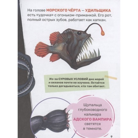 The first encyclopedia of the baby "Underwater World"-4