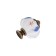 Handle button tundra, ceramic, painted with blue patterns