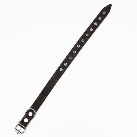 Collar combined leather/tarpaulin, dimensionless, 54 x 2.5 cm, Osh 17-45 cm, black-2