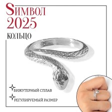 New Year! Symbol of the year 2025! Ring 
