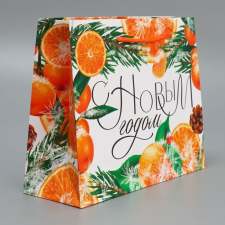 Laminated horizontal “Citrus cocktail” laminate, MS 23 x 18 x 8 cm, New Year-1