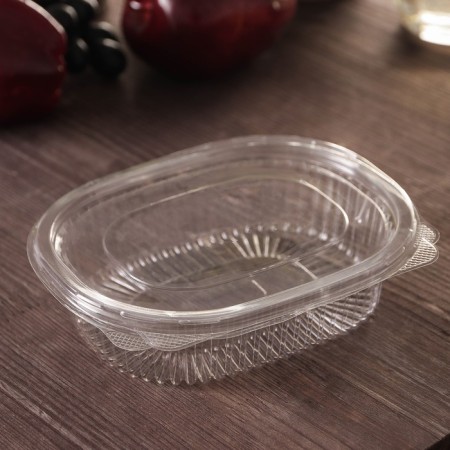 The plastic disposable container with an insoluble lid pr-rks-350, 350 ml, 15.9 × 13 × 4 cm, the color is transparent-1