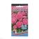 Flower seeds Astra Voronezh "Pink Solder", 0, 2 g
