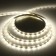Ecola Pro 5 m, IP20, SMD2835, 60 LED/m, 8 W/m, 12 V, 4200K LED strip